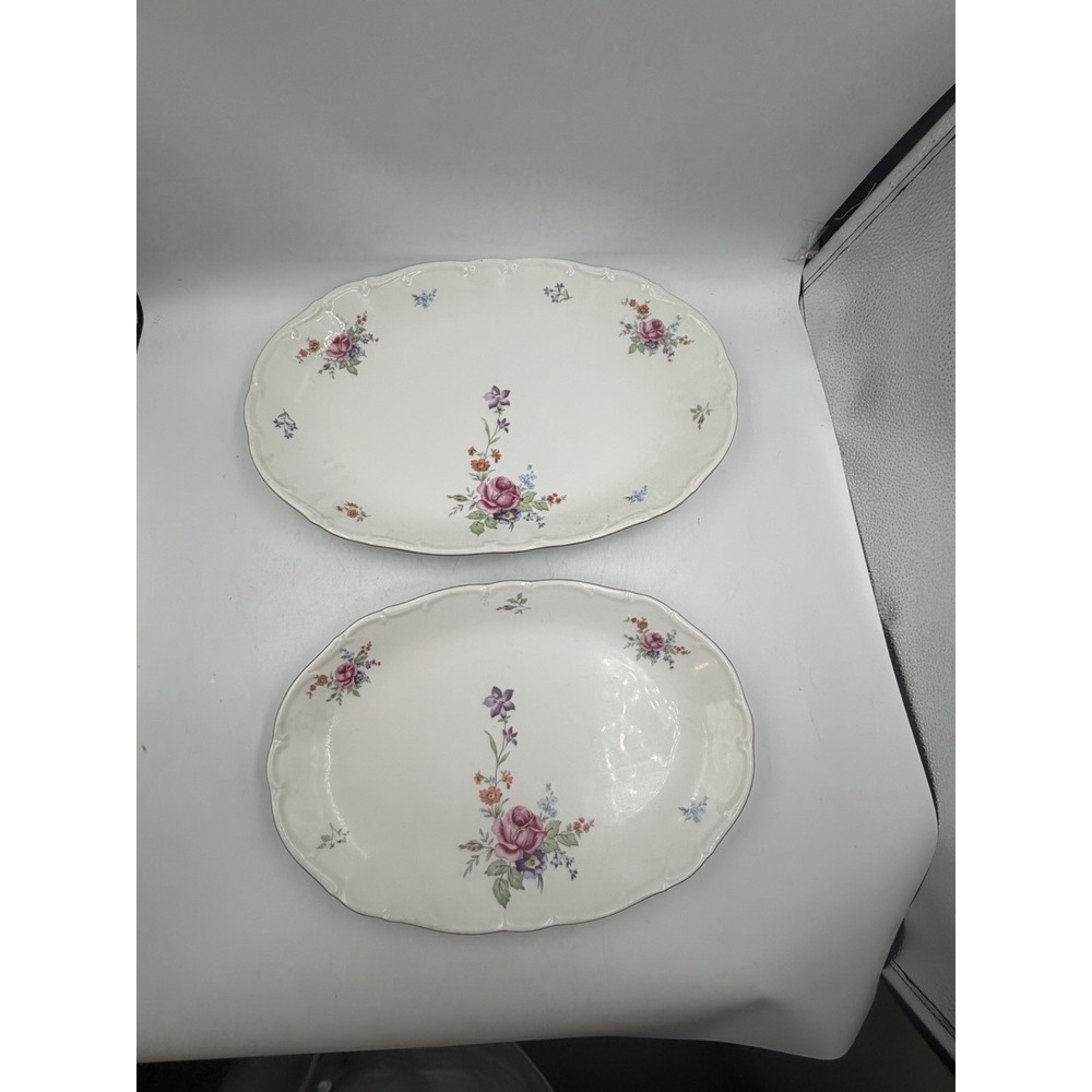 Lot Of 2 Vintage Bareuther Waldsasse Bavaria Germany Floral Serving Trays